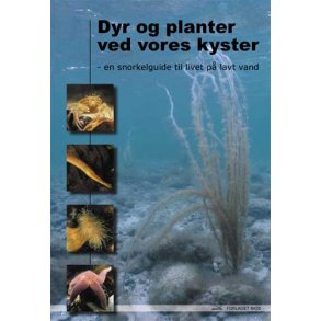 Dyr og planter ved vores kyster - Bog