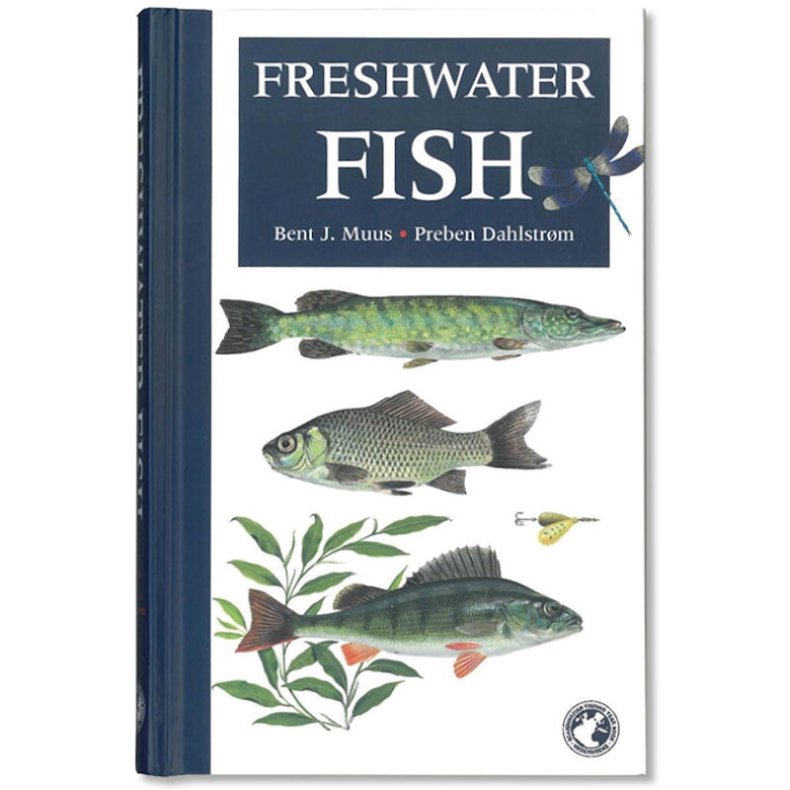 Bog- Freshwater Fish