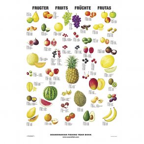 Plakat - Frugter - (HH)