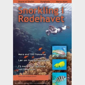 Snorkling i Rdehavet - Hfte