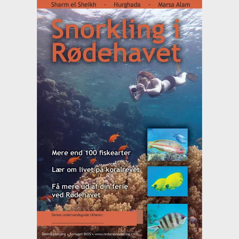 Snorkling i Rdehavet - Hfte