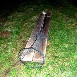 Torpedonettet - UDGET