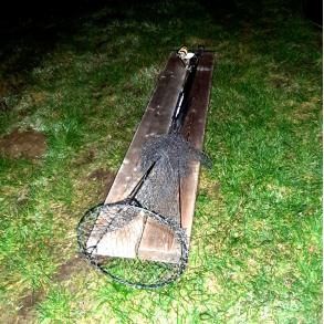 Torpedonettet - UDGET