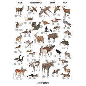 Plakat - Vildt (R)