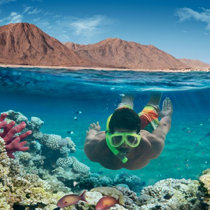 SNORKLING